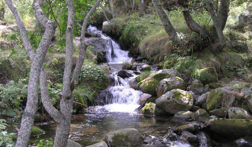 Orri De Bed & Breakfast Planes