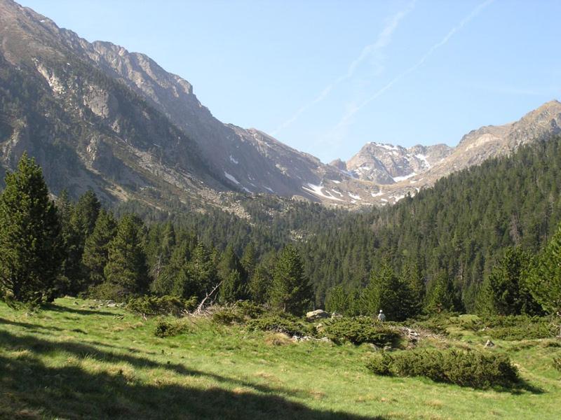 Orri De *